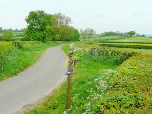 Photo 6"x4" Longrose Lane Kniveton c2010