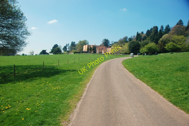 Photo 6"x4" Killerton House: Main Drive Beare\/SS9800 c2009