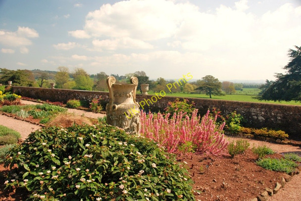 Photo 6"x4" Killerton House and Gardens Beare\/SS9800 c2009