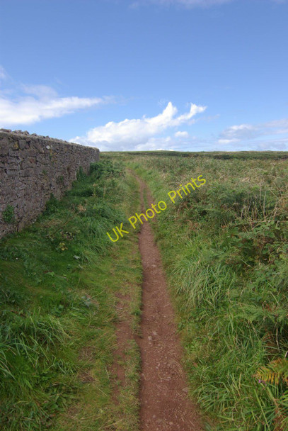 Photo 6"x4" Pembrokeshire Coast Path west of St Brides St Brides\/SM7910 c2010