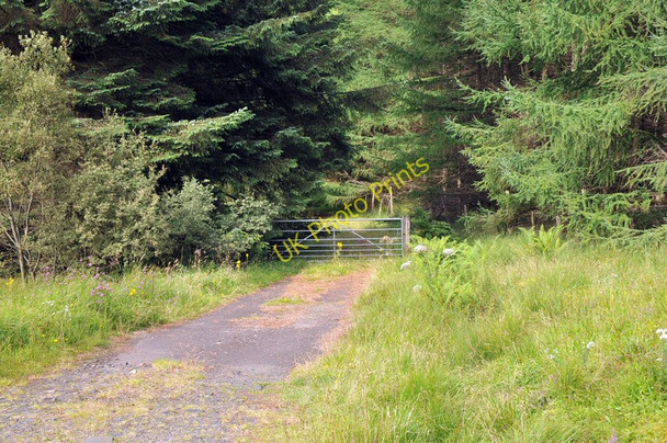 Photo 6"x4" Old military road in Glen Lochy Clifton\/NN3230 c2010