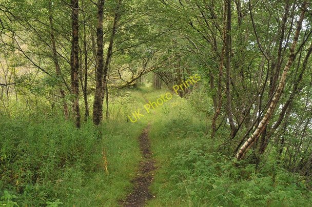 Photo 6"x4" Path following the route of the old railway at Loch Dochart Crianlarich c2010