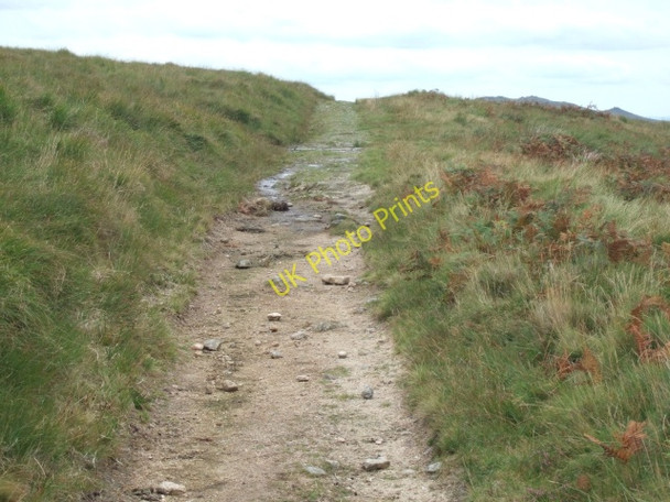 Photo 6"x4" Track leading out of Knack Mine Ford Steeperton Tor c2010
