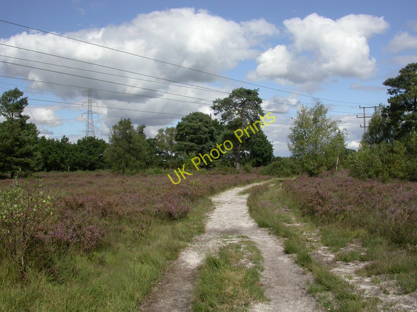 Photo 6"x4" Ferndown Common, footpath Longham\/SZ0698 c2010
