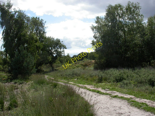 Photo 6"x4" Ferndown Common, tumulus Longham\/SZ0698 c2010