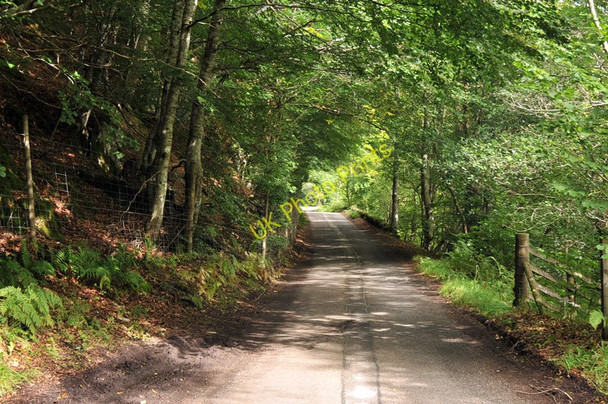 Photo 6"x4" Road through woodland in Glen Lyon Invervar c2010
