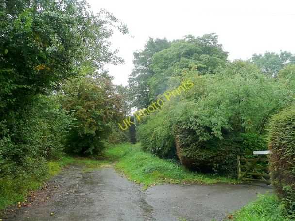 Photo 6"x4" Dead end lane at Walton Hill Deerhurst Walton c2010