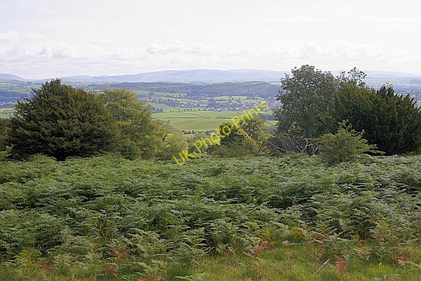 Photo 6"x4" Helsington Barrows Brigsteer c2010 P2