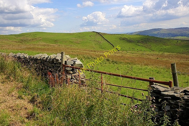 Photo 6"x4" Gate, Bracelet Moor Rosthwaite\/SD2490 c2010