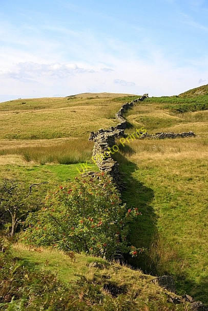 Photo 6"x4" Wall, Torver High Common Bowmanstead c2010