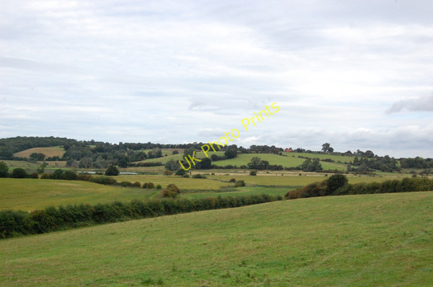 Photo 6"x4" Tillingham Valley Rye c2010