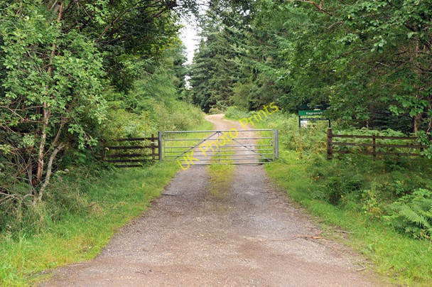 Photo 6"x4" Forestry road into Kepranich Plantation Fearnan c2010