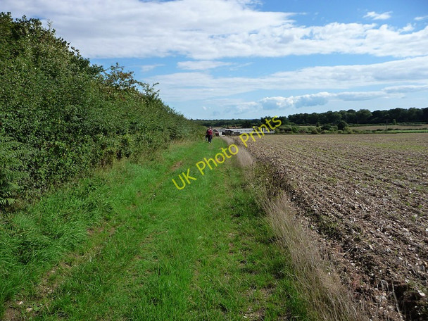 Photo 6"x4" Path to Broadreed Farm Walderton c2010