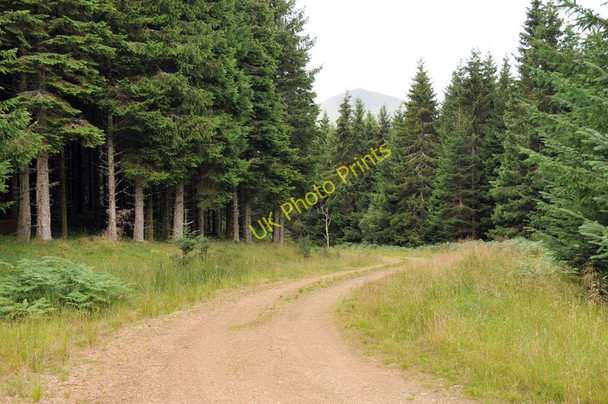 Photo 6"x4" Forestry road at Kepranich Ardtalnaig c2010