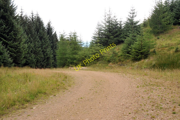 Photo 6"x4" Forestry road at Kepranich Ardtalnaig c2010