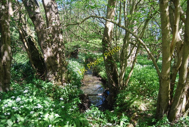 Photo 6"x4" Small stream, Clay's Wood Frant c2010