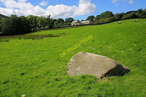 Photo 6"x4" Boulder in a Field Near Thornthwaite Hall Bomby c2010