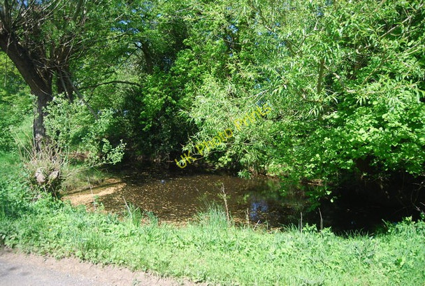 Photo 6"x4" Pond near Bareland Farm Cottage Bells Yew Green c2010