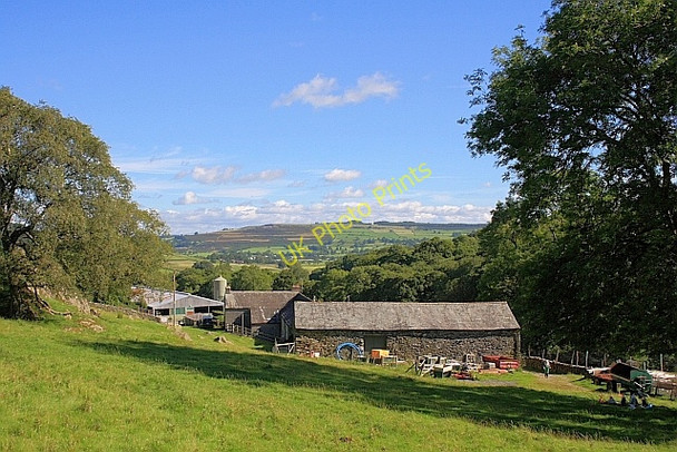 Photo 6"x4" Naddle Farm Bomby c2010