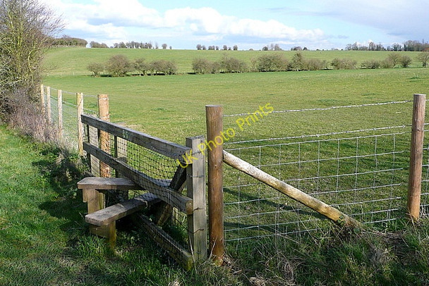 Photo 6"x4" View across Basing Common Basingstoke c2010