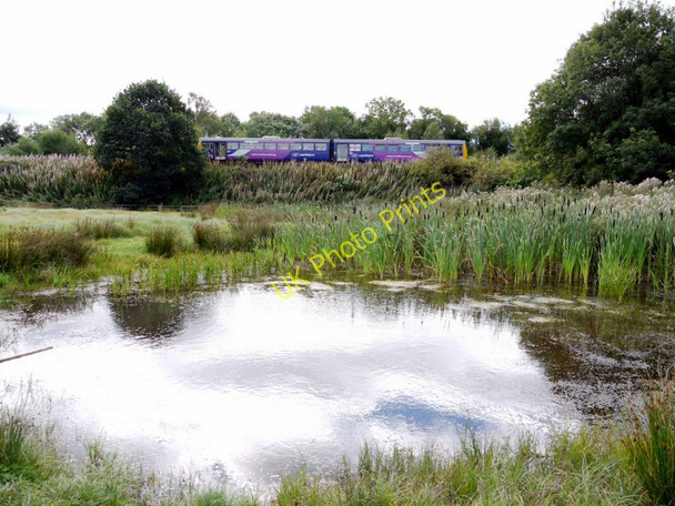 Photo 6"x4" Pond, Tyne Riverside Park Prudhoe c2010