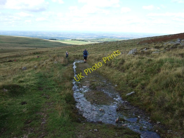 Photo 6"x4" Track on north slope of West Mill Tor Meldon\/SX5592 c2010