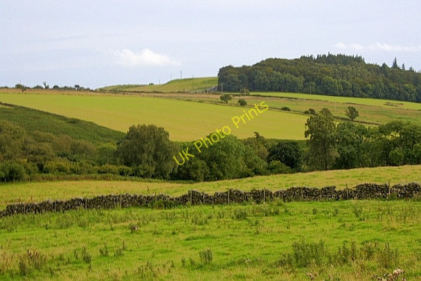 Photo 6"x4" Field Near Cairnholy Carsluith c2010