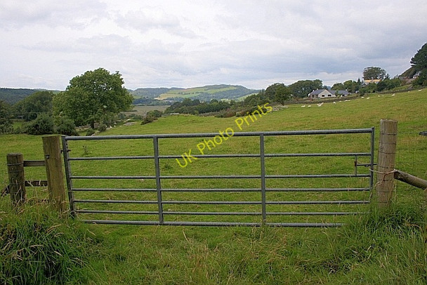 Photo 6"x4" Gate into Field Near Gibb's House Kippford\/Scaur c2010