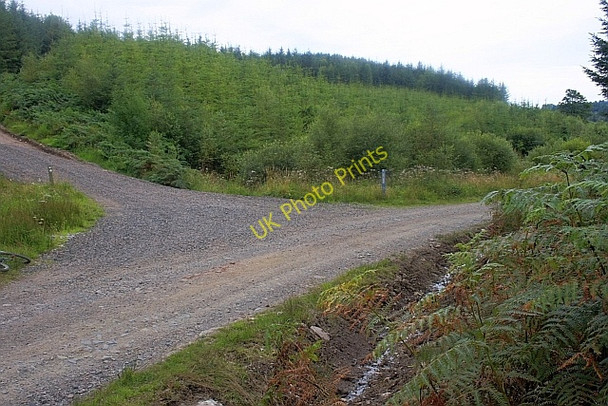 Photo 6"x4" Track Junction, Ironhash Hill Kippford\/Scaur c2010