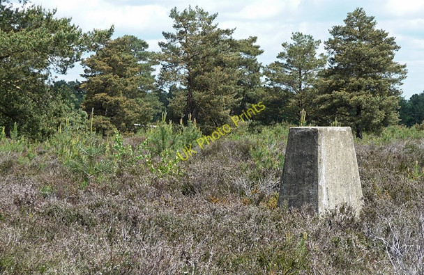 Photo 6"x4" Triangulation Pillar, Ambersham Common South Ambersham c2010