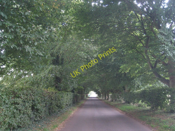 Photo 6"x4" Lane at Blyborough Blyborough c2010