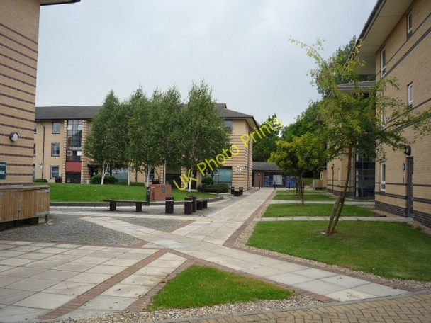 Photo 6"x4" James College Heslington c2010