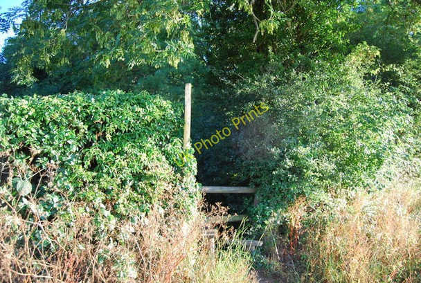 Photo 6"x4" Stile, near Shipbourne Shipbourne c2010