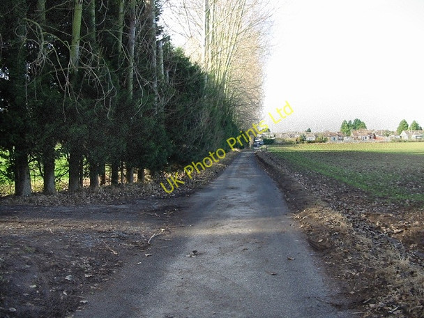 Photo 6"x4" View along Watercress Lane, Wingham Well Wingham Well c2007