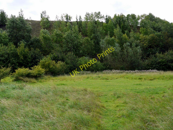Photo 6"x4" The Spetchells, east part, Tyne Riverside Park Prudhoe c2010