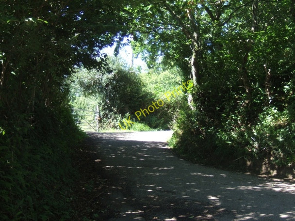 Photo 6"x4" Minor road to Culm Davy Hill Culm Davy c2010
