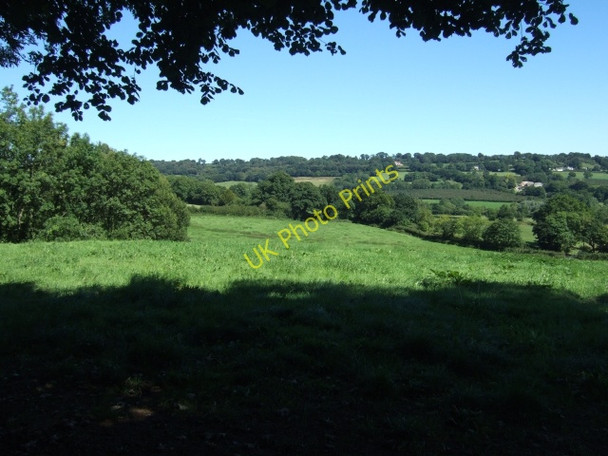 Photo 6"x4" Fields between Culm Davy and Whitehall Whitehall\/ST1214 c2010