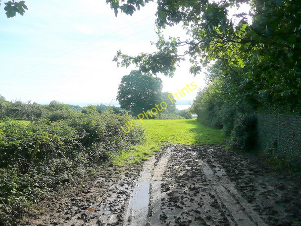 Photo 6"x4" Muddy path to Tidenham Chepstow\/Cas-Gwent c2010