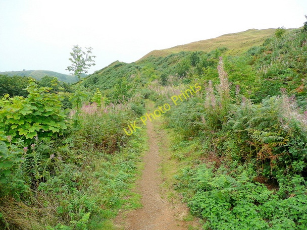Photo 6"x4" Footpath south from the Herefordshire Beacon Little Malvern c2010