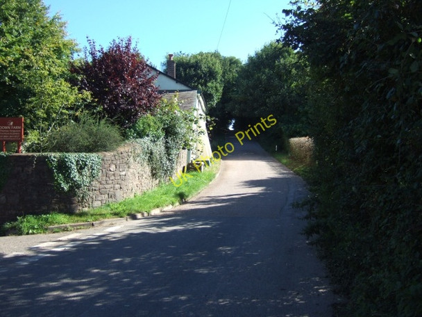 Photo 6"x4" Broad Path, Appledore Appledore\/ST0614 c2010