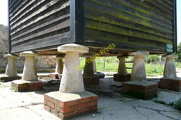 Photo 6"x4" Tyneham farm project Tyneham c2009 P1