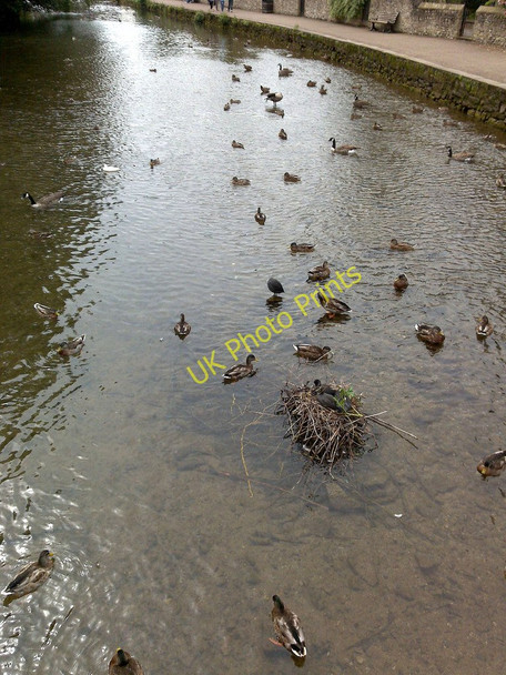 Photo 6"x4" The River Wye Bakewell c2010
