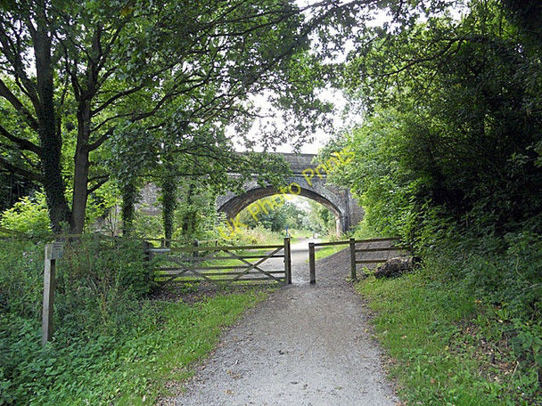 Photo 6"x4" NCR 56 at Willaston Picnic Area Willaston\/SJ3377 c2010