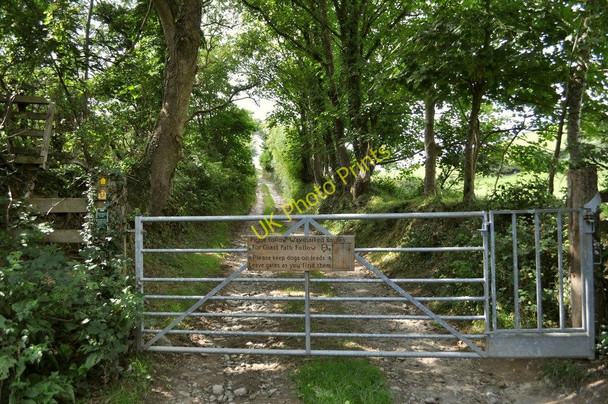 Photo 6"x4" The footpath to Croyde leading away from Saunton Court Saunton c2010