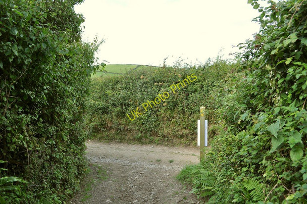 Photo 6"x4" Pathdown Lane meets Milkaway Lane Croyde c2010