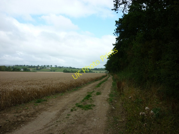 Photo 6"x4" A walk from Pickering #45 Marton\/SE7383 c2010