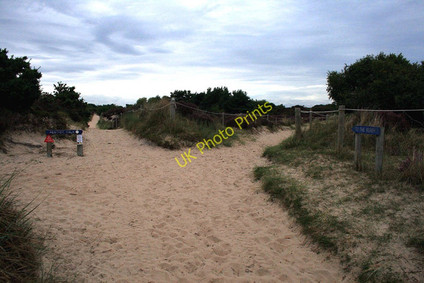 Photo 6"x4" A choice of Trails Studland c2010
