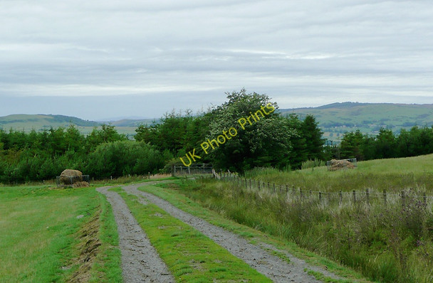Photo 6"x4" Farm track north-east of Tregaron, Ceredigion Allt-ddu\/SN7063 c2010