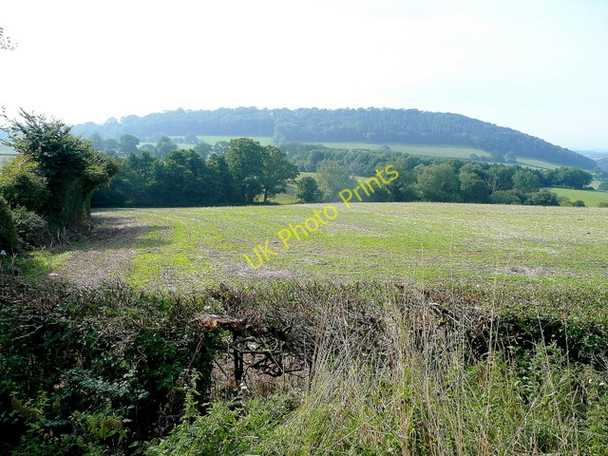 Photo 6"x4" View to Capler Camp Upper Buckenhill c2010