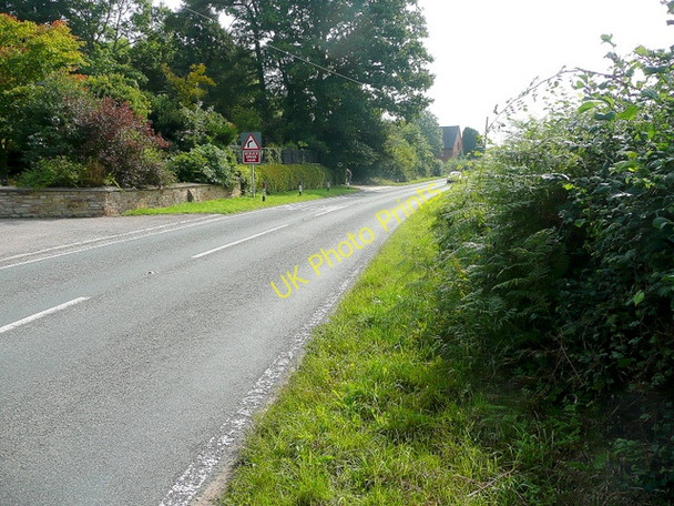 Photo 6"x4" B4224 at Oldway Upper Buckenhill c2010